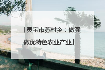 灵宝市苏村乡：做强做优特色农业产业