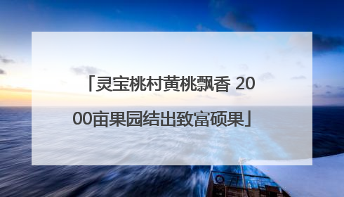 灵宝桃村黄桃飘香 2000亩果园结出致富硕果