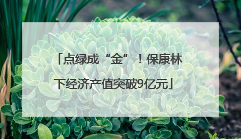 点绿成“金”！保康林下经济产值突破9亿元