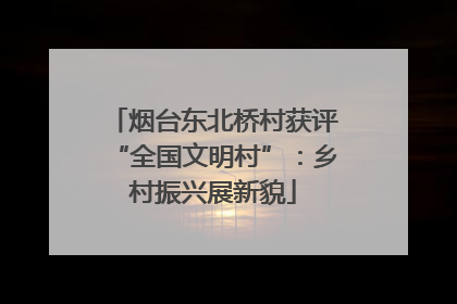 烟台东北桥村获评“全国文明村”：乡村振兴展新貌