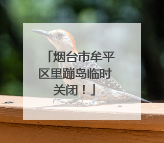 烟台市牟平区里蹦岛临时关闭！