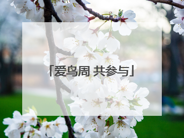 爱鸟周 共参与