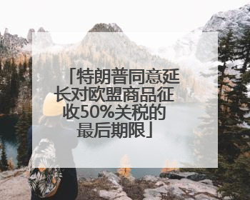 特朗普同意延长对欧盟商品征收50%关税的最后期限