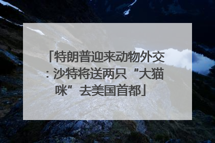 特朗普迎来动物外交：沙特将送两只“大猫咪”去美国首都