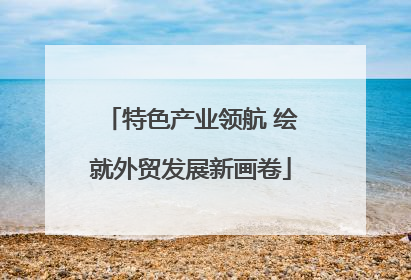 特色产业领航 绘就外贸发展新画卷