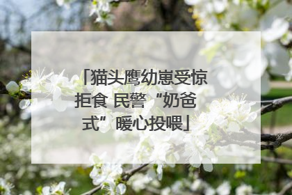 猫头鹰幼崽受惊拒食 民警“奶爸式”暖心投喂