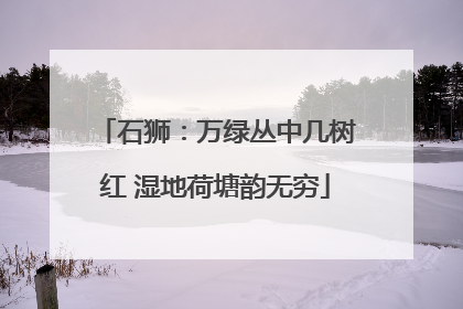 石狮：万绿丛中几树红 湿地荷塘韵无穷