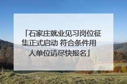 石家庄就业见习岗位征集正式启动 符合条件用人单位请尽快报名