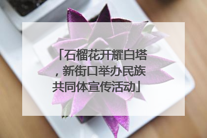石榴花开耀白塔，新街口举办民族共同体宣传活动