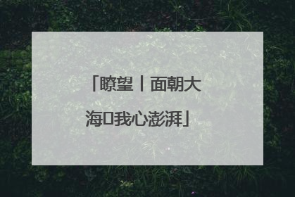 瞭望丨面朝大海 我心澎湃