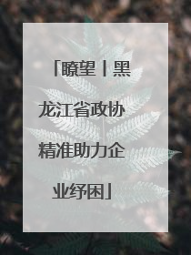 瞭望丨黑龙江省政协精准助力企业纾困