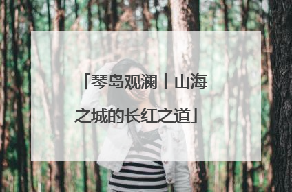琴岛观澜丨山海之城的长红之道