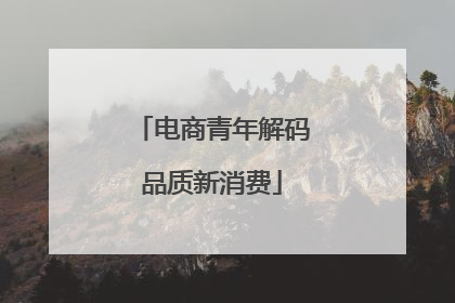电商青年解码品质新消费