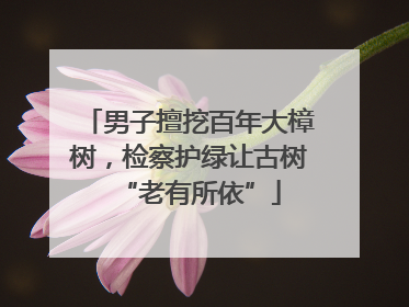 男子擅挖百年大樟树，检察护绿让古树“老有所依”