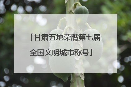 甘肃五地荣膺第七届全国文明城市称号