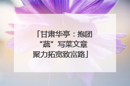 甘肃华亭：抱团“蔬”写菜文章 聚力拓宽致富路