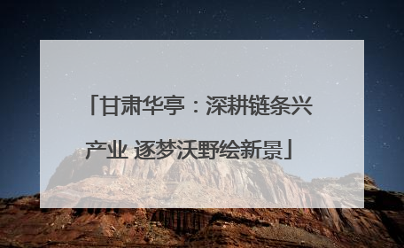 甘肃华亭：深耕链条兴产业 逐梦沃野绘新景