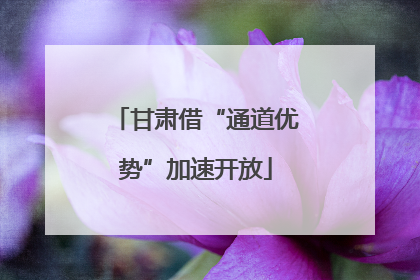 甘肃借“通道优势”加速开放