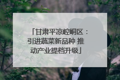 甘肃平凉崆峒区：引进蔬菜新品种 推动产业提档升级