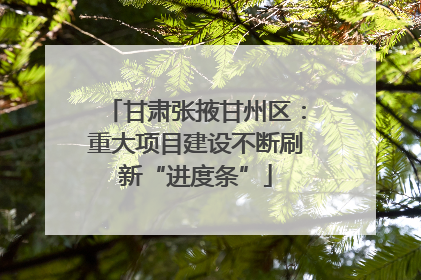 甘肃张掖甘州区：重大项目建设不断刷新“进度条”