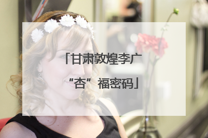 甘肃敦煌李广“杏”福密码