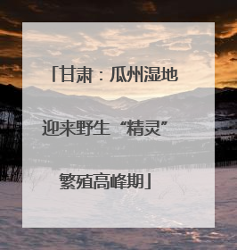 甘肃：瓜州湿地迎来野生“精灵”繁殖高峰期
