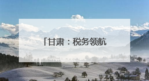 甘肃：税务领航 助企合规前行
