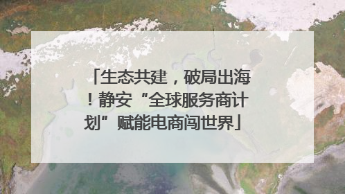 生态共建，破局出海！静安“全球服务商计划”赋能电商闯世界