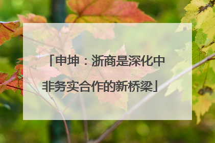 申坤：浙商是深化中非务实合作的新桥梁