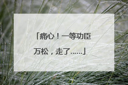 痛心！一等功臣万松，走了……
