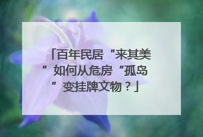 百年民居“来其美”如何从危房“孤岛”变挂牌文物？