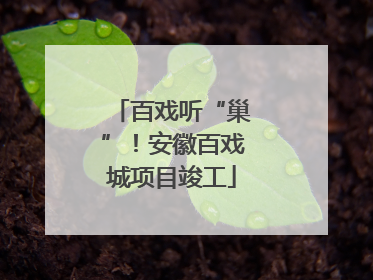 百戏听“巢”！安徽百戏城项目竣工
