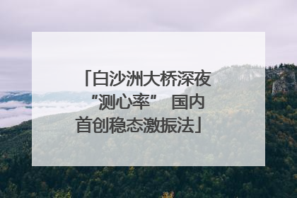 白沙洲大桥深夜“测心率” 国内首创稳态激振法