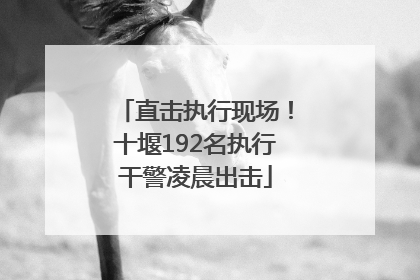 直击执行现场！十堰192名执行干警凌晨出击