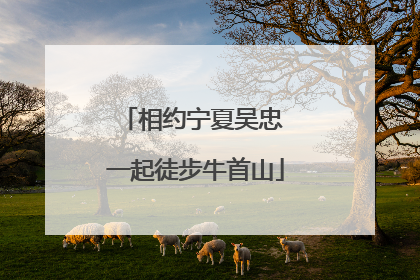 相约宁夏吴忠 一起徒步牛首山