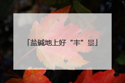 盐碱地上好“丰”景
