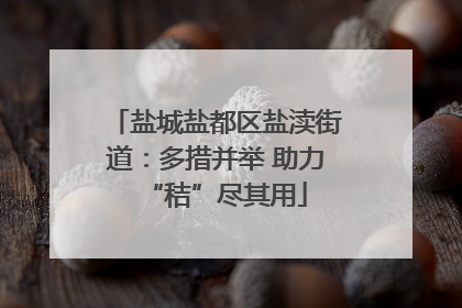 盐城盐都区盐渎街道：多措并举 助力“秸”尽其用
