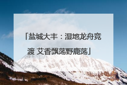 盐城大丰：湿地龙舟竞渡 艾香飘荡野鹿荡