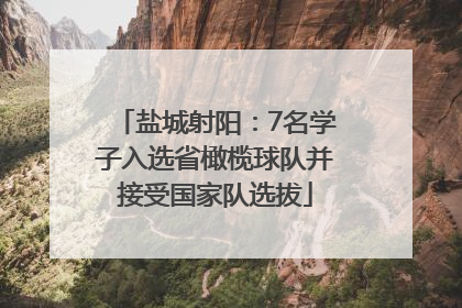 盐城射阳：7名学子入选省橄榄球队并接受国家队选拔