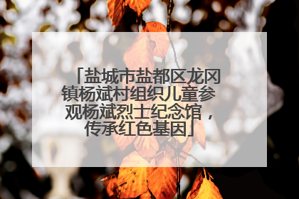 盐城市盐都区龙冈镇杨斌村组织儿童参观杨斌烈士纪念馆，传承红色基因