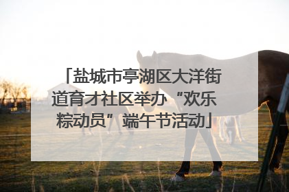 盐城市亭湖区大洋街道育才社区举办“欢乐粽动员”端午节活动
