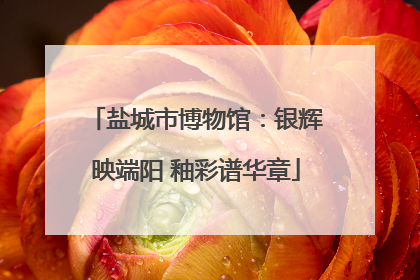 盐城市博物馆：银辉映端阳 釉彩谱华章