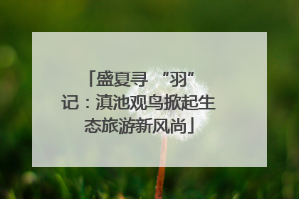 盛夏寻 “羽” 记：滇池观鸟掀起生态旅游新风尚