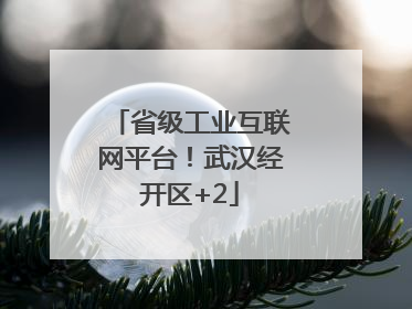 省级工业互联网平台！武汉经开区+2