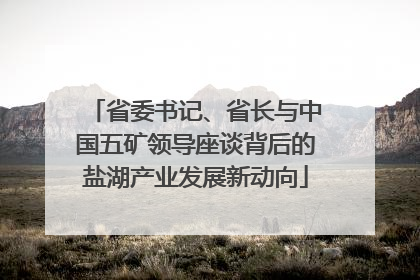 省委书记、省长与中国五矿领导座谈背后的盐湖产业发展新动向