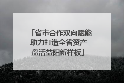 省市合作双向赋能 助力打造全省资产盘活益阳新样板