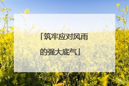 筑牢应对风雨的强大底气