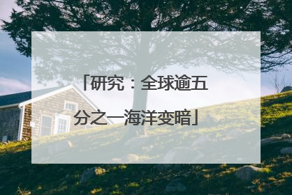研究：全球逾五分之一海洋变暗