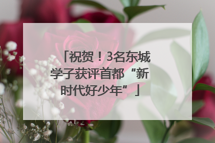 祝贺！3名东城学子获评首都“新时代好少年”