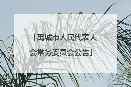 禹城市人民代表大会常务委员会公告